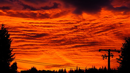 Obraz na płótnie Canvas Red sky at sunrise, New Zealand