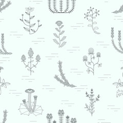 Fototapeta premium Medicinal herbs seamless pattern