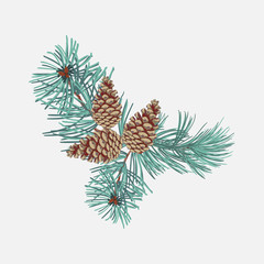 Arrangements of coniferous twigs with pine cone