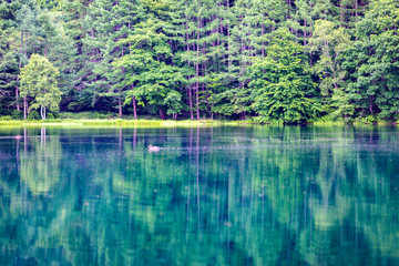 Obraz premium 上高地 大正池 長野 信州 夏 旅行 観光 名所 明神池 河童橋