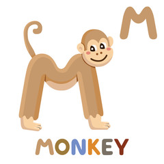M is for Monkey. Letter M. Monkey, cute illustration. Animal alphabet.