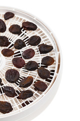 Dried Plums Pitted Prunes on a Dehydrator Rack. Selective focus.