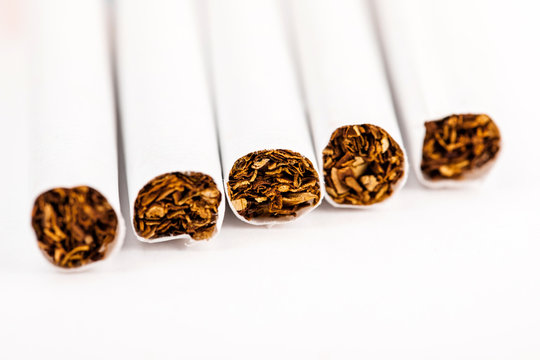 Close-up of tobacco cigarettes on a white background