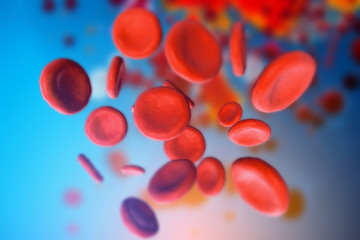 3d illustration of red blood cells erythrocytes close-up under a microscope in the body. Concept...