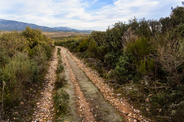Fototapeta na wymiar Rodadas en el camino del cerro Guadarrama. Sierra Norte. Madrid. España. Europa