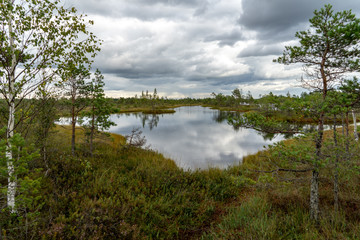 blue sky, clouds and trees from forest reflecting in calm lake water