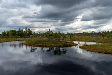 Fototapeta na wymiar blue sky, clouds and trees from forest reflecting in calm lake water