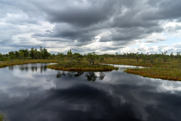 blue sky, clouds and trees from forest reflecting in calm lake water