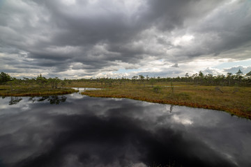 blue sky, clouds and trees from forest reflecting in calm lake water