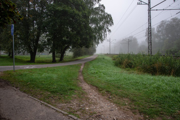 tourist walking footpath in green forest