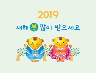 chinese zodiac, the year of the pig, golden pig's year, korea