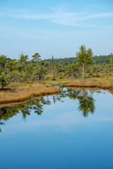 blue sky, clouds and trees from forest reflecting in calm lake water