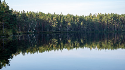 Obraz premium blue sky, clouds and trees from forest reflecting in calm lake water