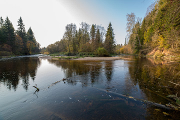 blue sky, clouds and trees from forest reflecting in calm lake water