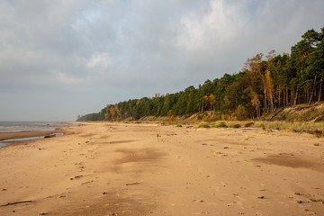 sandy sea beach with rocks and low tide in overcast day