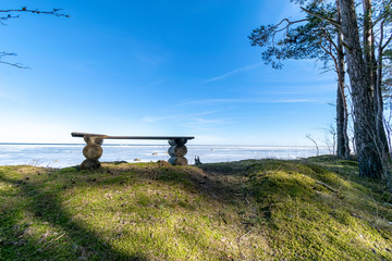 tourist walking footpath in green forest