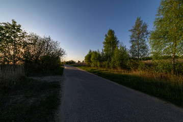 tourist walking footpath in green forest