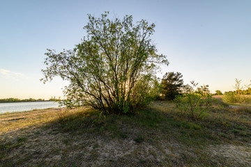 tourist walking footpath in green forest