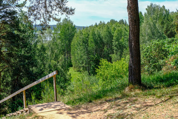 tourist walking footpath in green forest