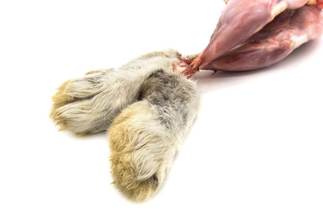 Fresh rabbit legs on a white background