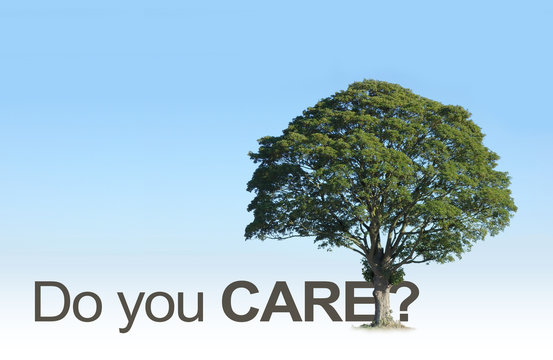 Wake up People - do you really care about our beautiful TREES? - campaign tree merged with the word CARE and a question mark against a plain graduated blue sky background 
