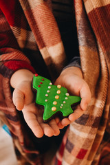 Female hands holding glazed cookie shaped as Christmas tree