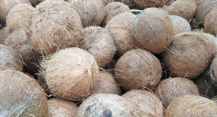 Fresh coconut dry as background