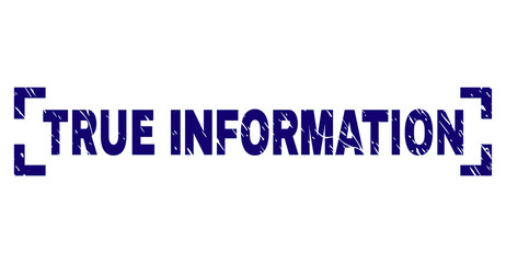 TRUE INFORMATION title seal print with grunge texture. Text title is placed inside corners. Blue vector rubber print of TRUE INFORMATION with grunge texture.