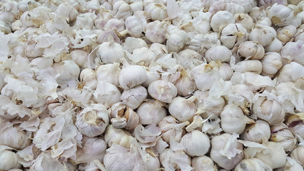 Fresh garlic as background