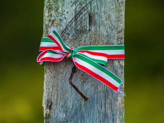 Ribbon bow in colors of Hungarian flag on the wooden beam with nice natural green background. Hungarian nationals colors ribbon.