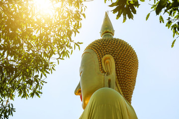 The upper half of the statue of Buddha in Thai golden architecture is set in the sunshine with trees on the side.