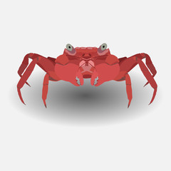 red crab, flat design, vector image