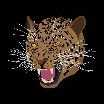 Tiger head, flat design, vector image