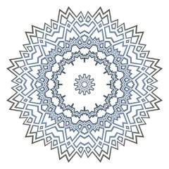 Modern Decorative Cicle Shapes. Floral mandala. vector illustration.
