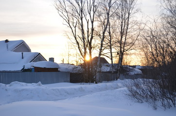 Frozy winter in Moscow region
