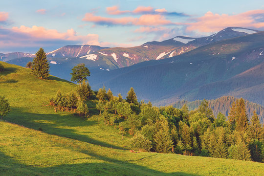 Morning mountain landscape, summertime outdoor background