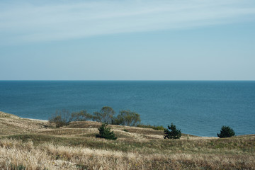 Obraz premium Landscape of the Curonian Spit in the summer