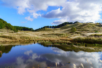 砥峰高原　ススキの草原と池
