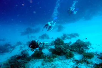 Küchenrückwand glas motiv Divers at the coral reef in the Maldives. © Composer