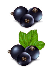 Hand drawn watercolor illustration of the food: ripe tasty black currant, isolated on the white background