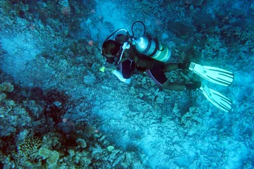 Fensteraufkleber Divers at the coral reef in the Maldives. © Composer