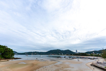 Obraz premium 湿地
