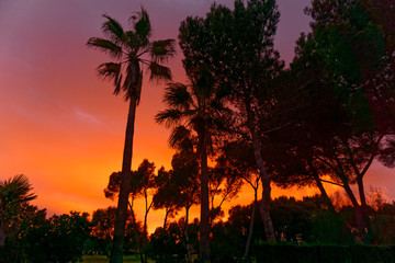 Fire in the Sky, Mallorca