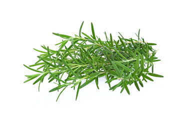 Fresh Rosemary isolated on white background