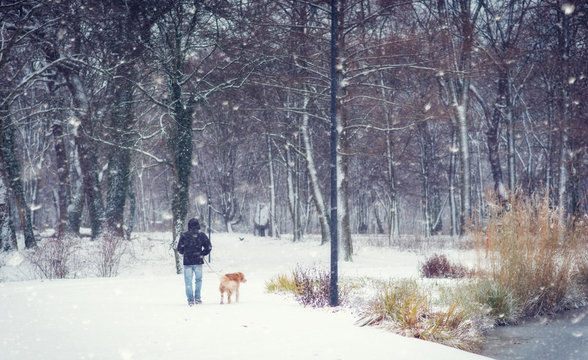 Young man walking in the winter park in snowfall