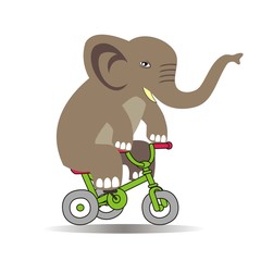 elephant riding a bike vector illustration