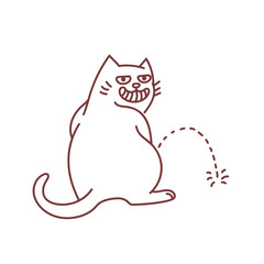 Hooligan cat peeing on the floor