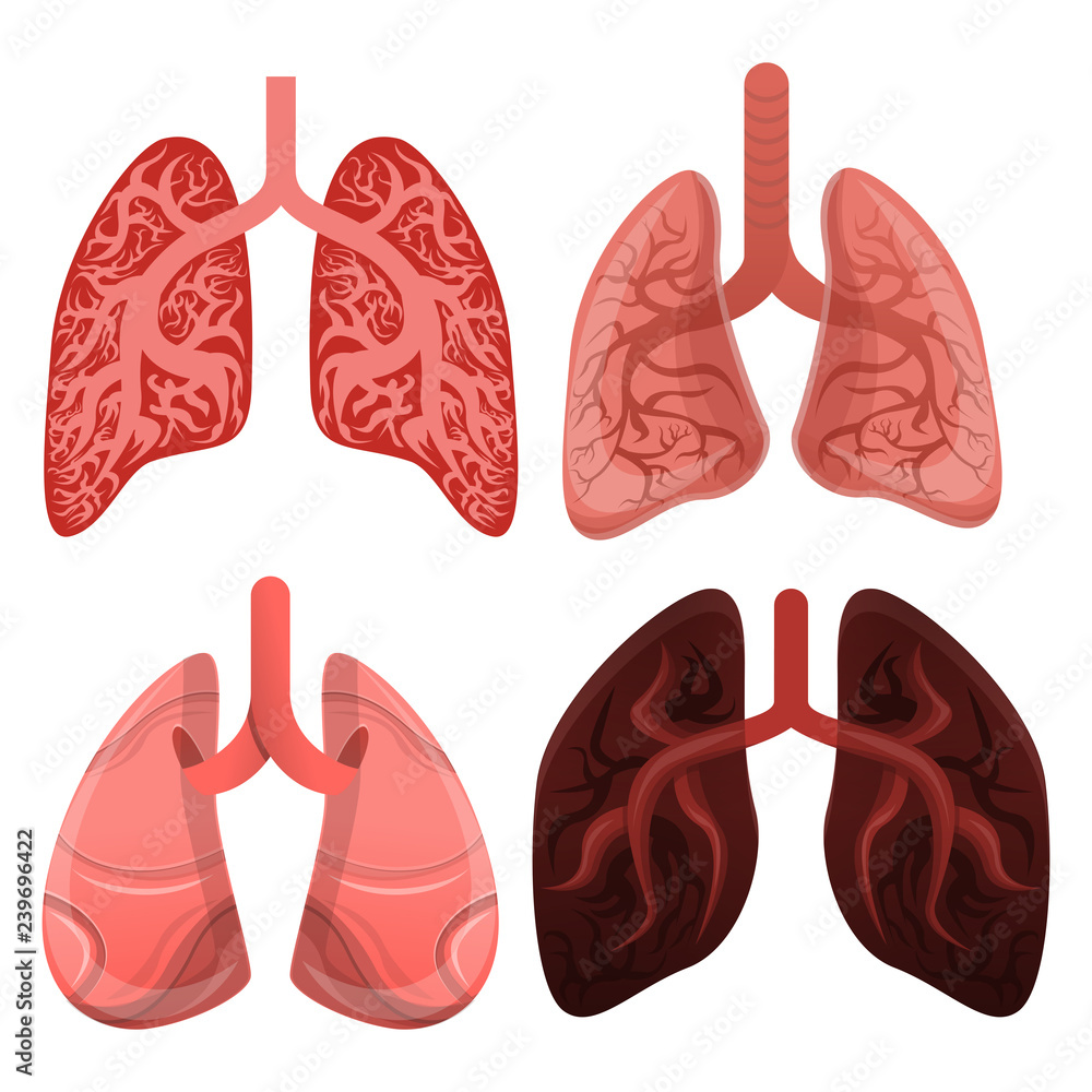 Poster lung icon set. cartoon set of lung vector icons for web design