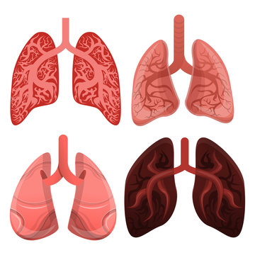 Lung icon set. Cartoon set of lung vector icons for web design