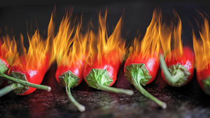 viele rote ,brennende Chili-Schoten